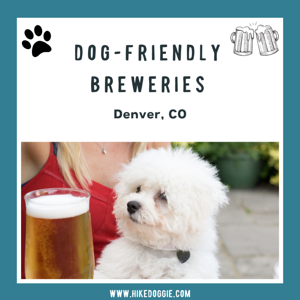 dog friendly breweries in denver