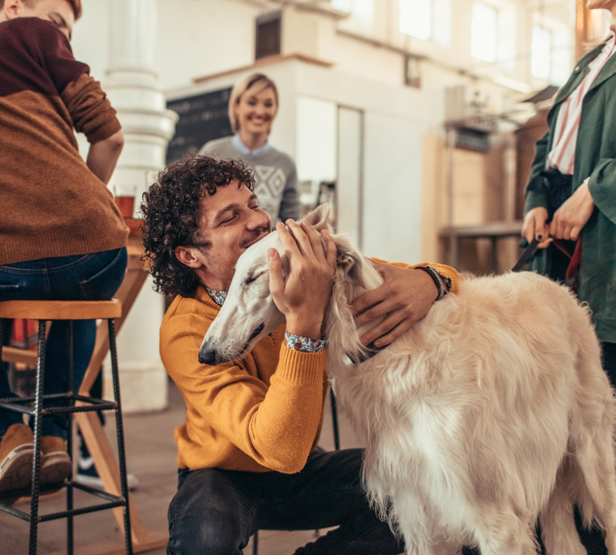 dog friendly breweries near denver