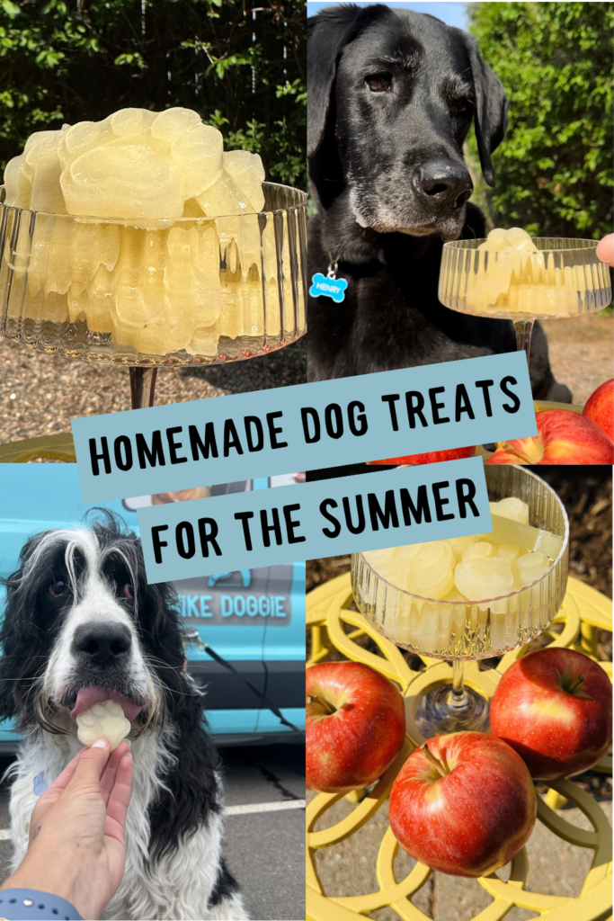 Cool dog on sale treats for summer