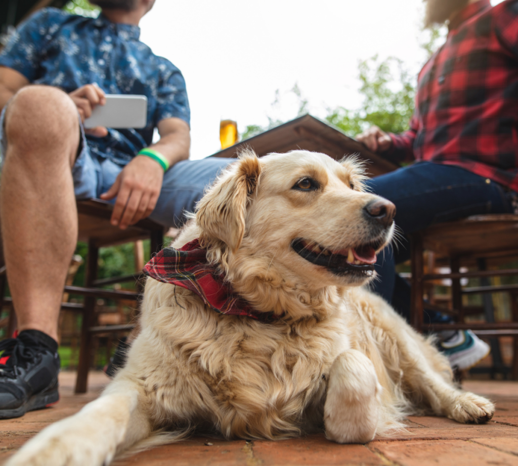 breweries in colorado 