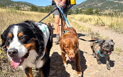 Handler hiking with pack across dirt trail