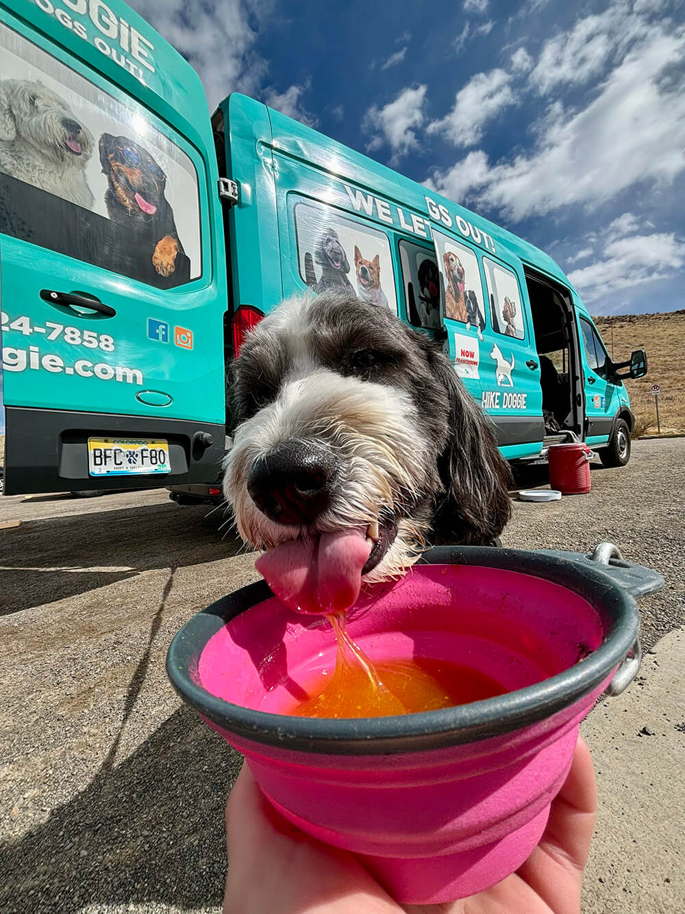 The Benefits of Multi-Territory Ownership with Hike Doggie