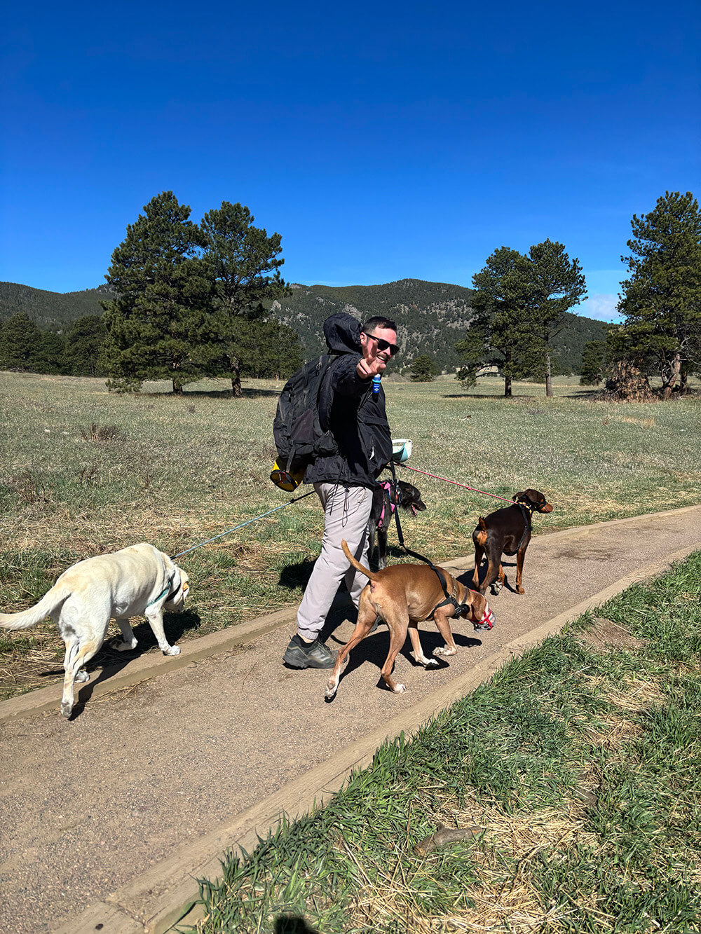 Hike Doggie presents a low-cost, high-reward business model.