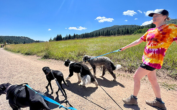 Dog walker guiding pack across park path