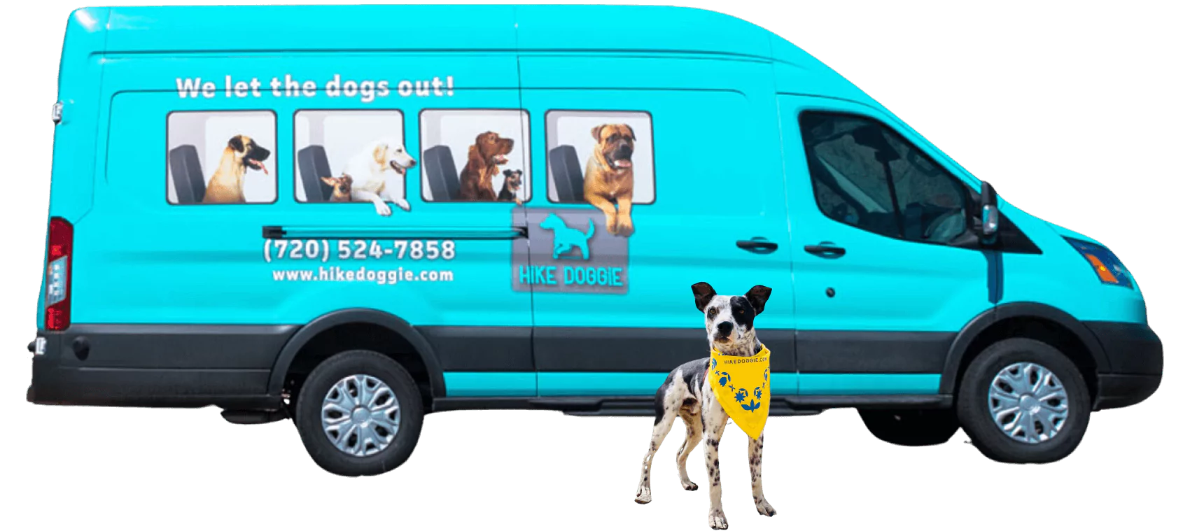 dog franchise