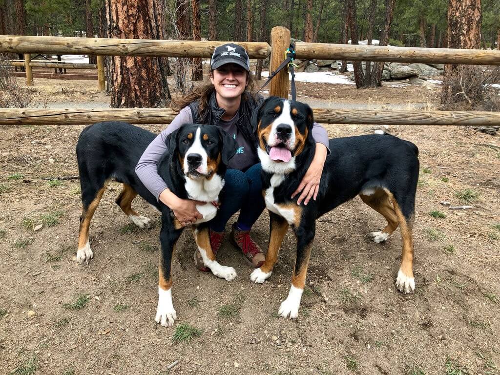 Handler kneeling with two dogs at fence, training and bonding