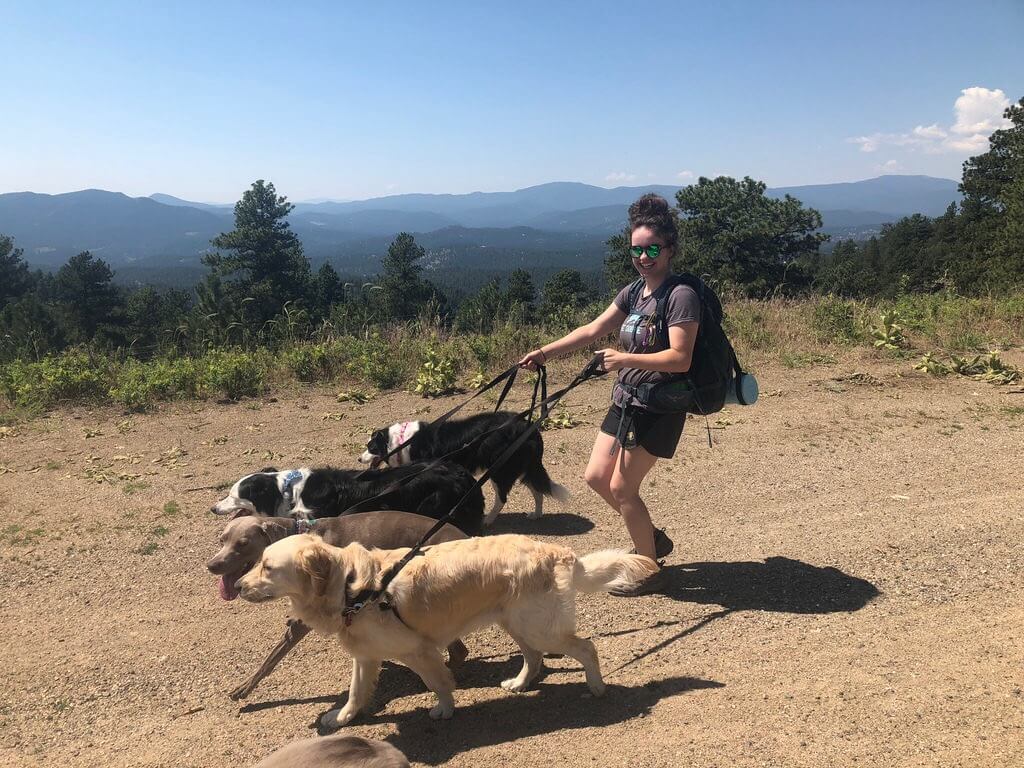 Woman jogging with dogs across open field trail