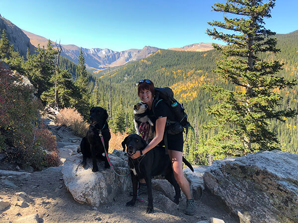 Dog hiking mountain trail with scenic Colorado backdrop