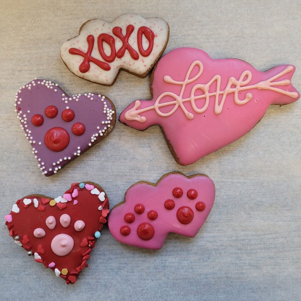 valentine's day dog treats from cosmo's dog bakery