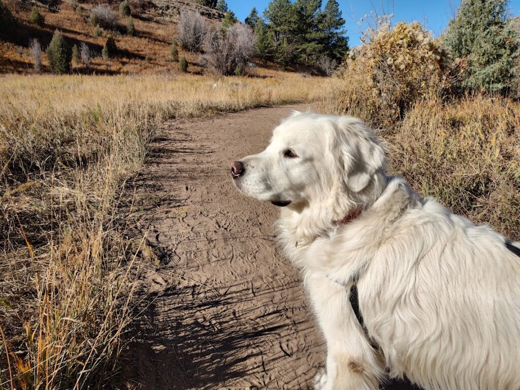 lair o' the bear park winter hikes