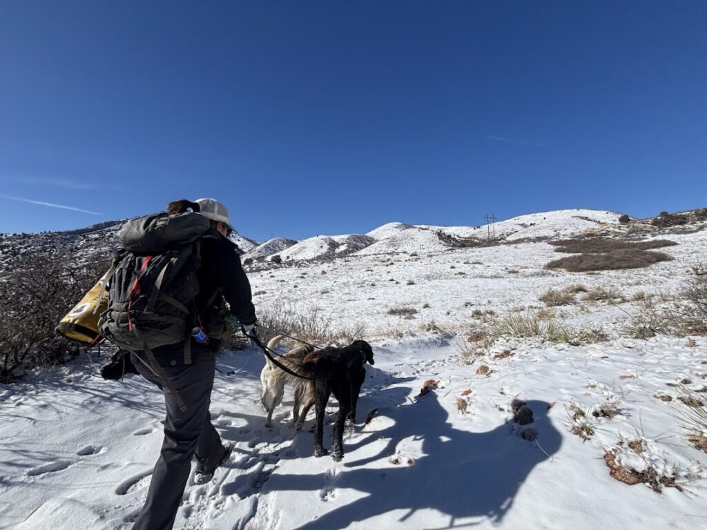 matthews winters park winter hikes for denver dogs