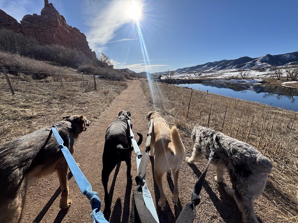 south valley winter hikes for denver dogs