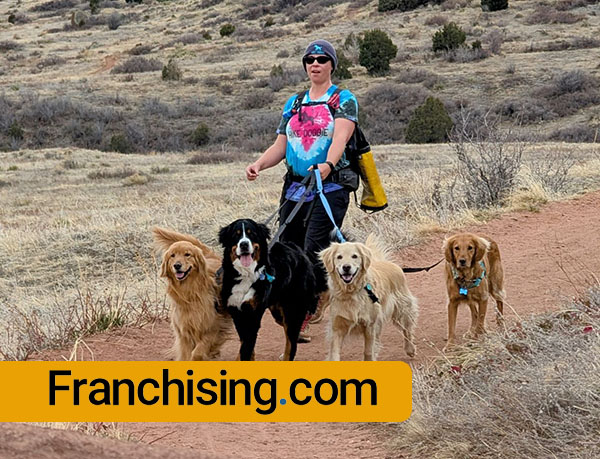 Professional dog walker leading pack of dogs on leashes through open field