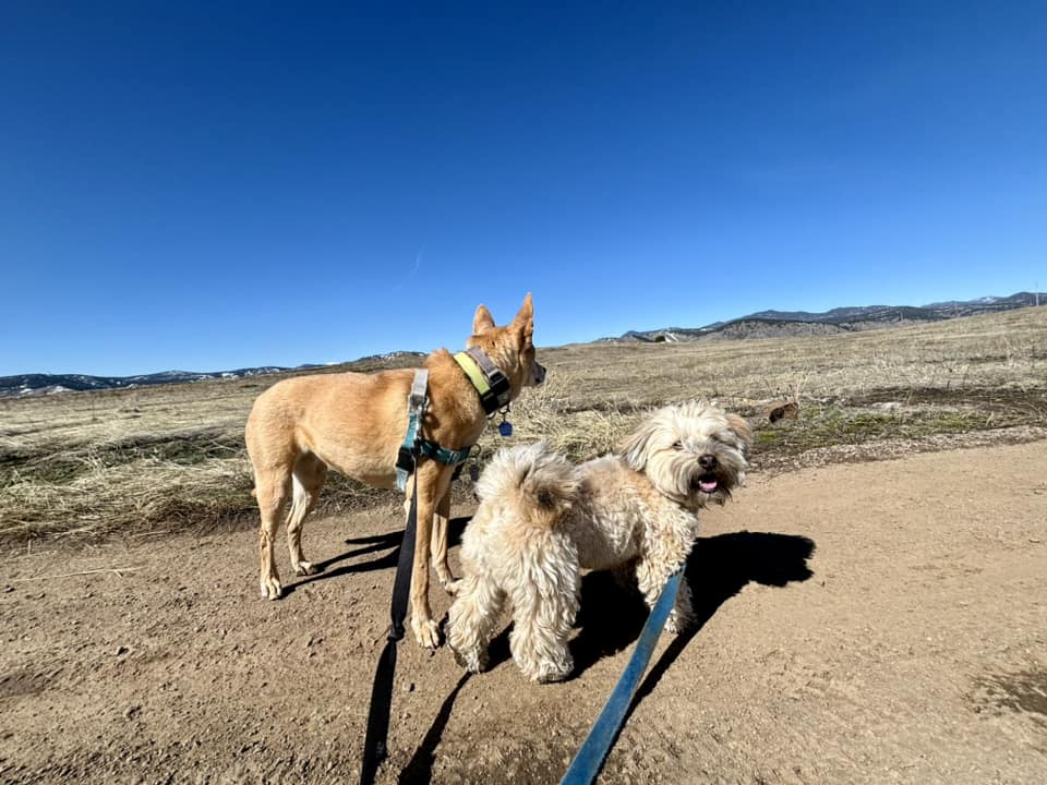 Hike Doggie Franchise Disclosure Document 