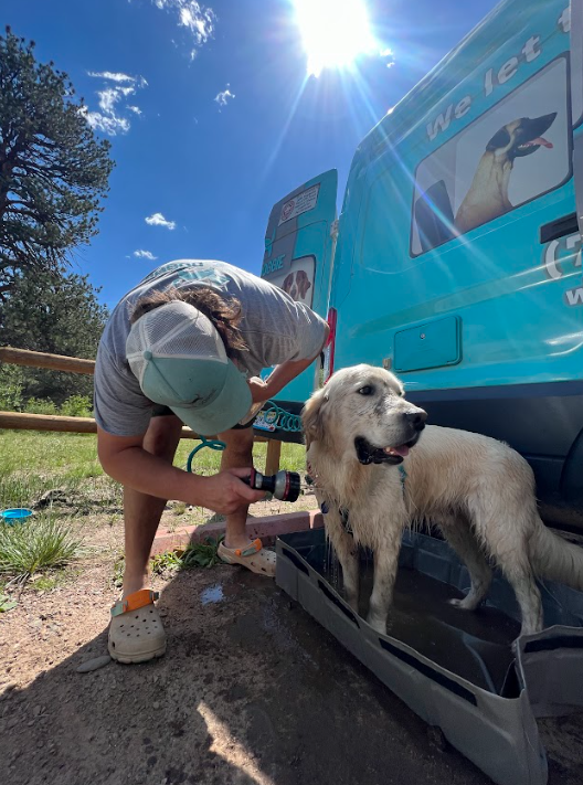 march mud dog shower