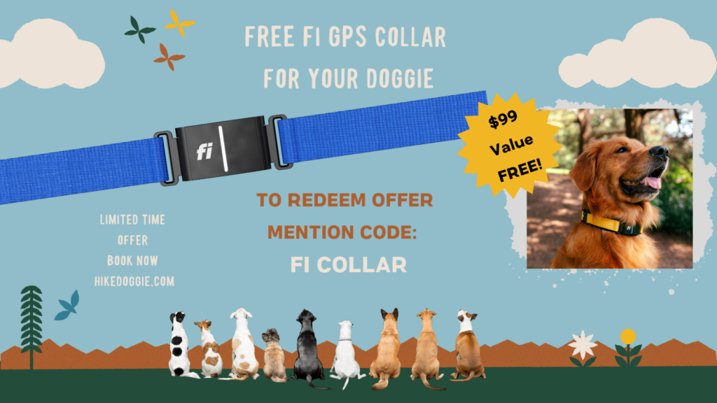Fi collar and dog hiking flatirons hike doggie flatirons 