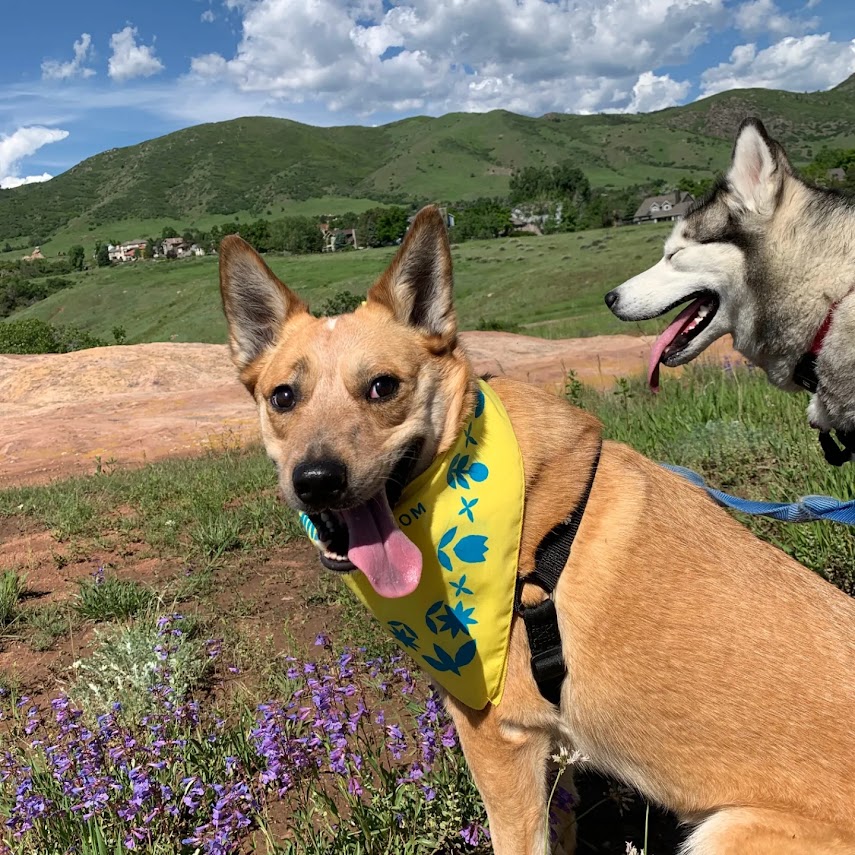 spring adventures