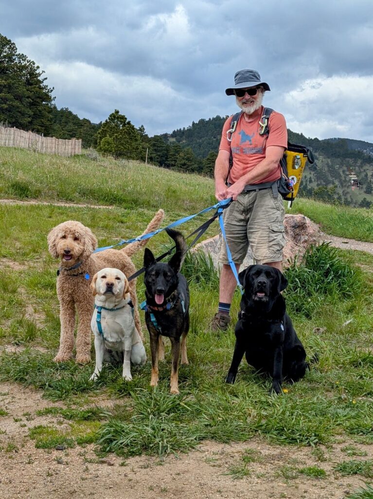 dog hiking service in boulder hiking dogs 