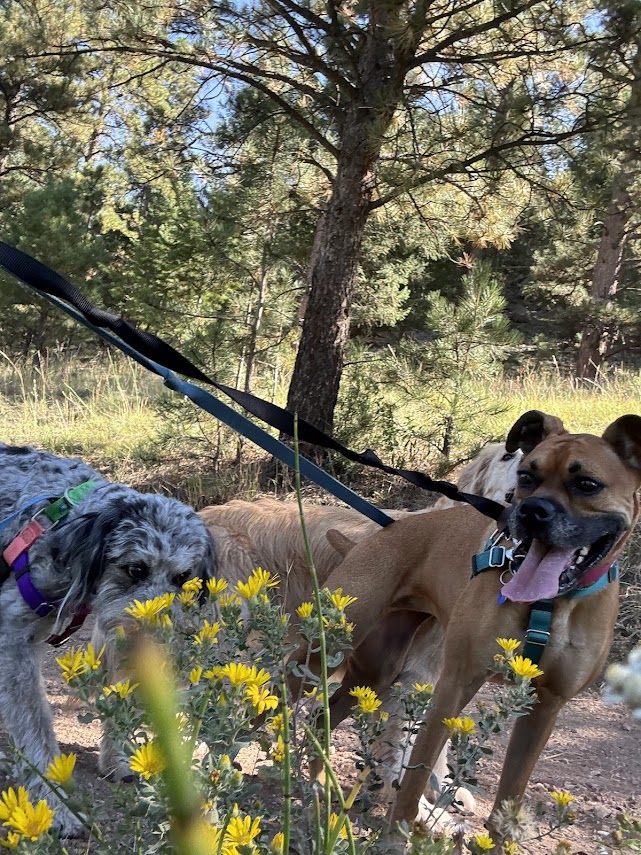 Spring Adventures