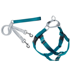 Teal no-pull training harness with front clip