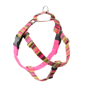 Colorful striped dog harness