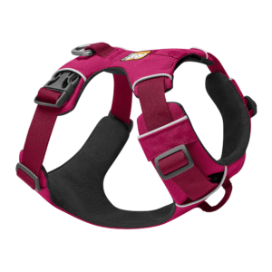 Red padded dog harness