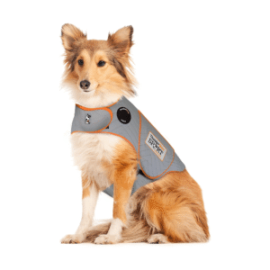 Dog treat bag or snack pouch