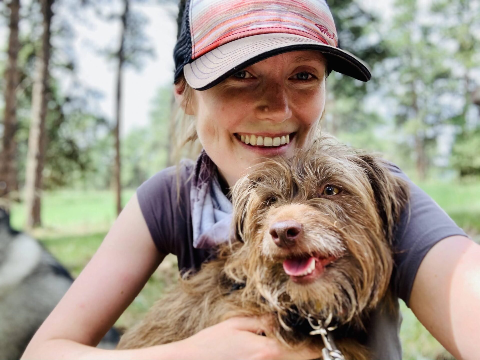 Woman cuddling small dog outdoors, happy client and pup during hike