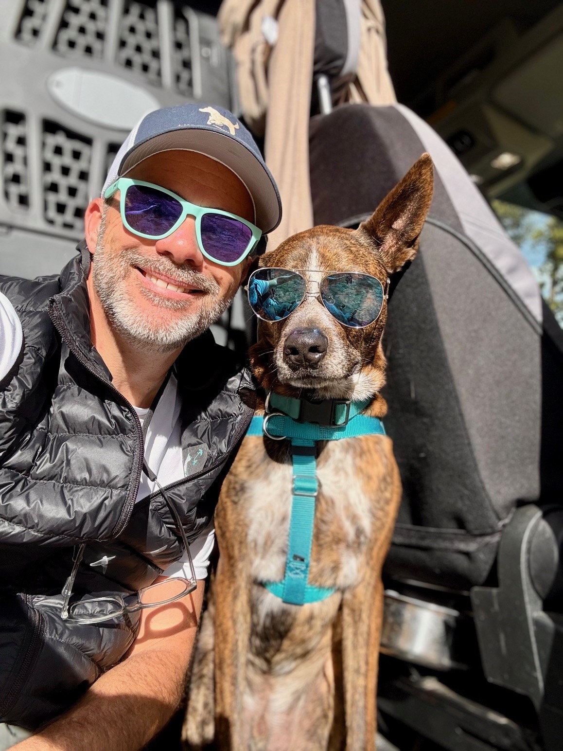 Handler taking selfie with a stylish chihuahua in vehicle, pickup for dog hike