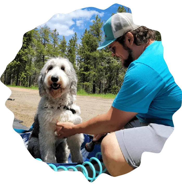 Staff member clipping leash onto white poodle outdoors, pre-hike prep