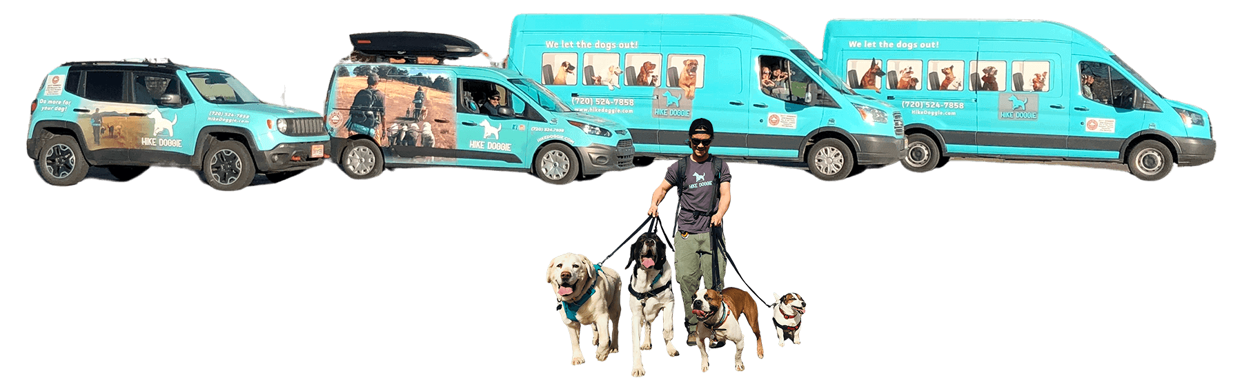 Group of dogs and handler walking away from van together