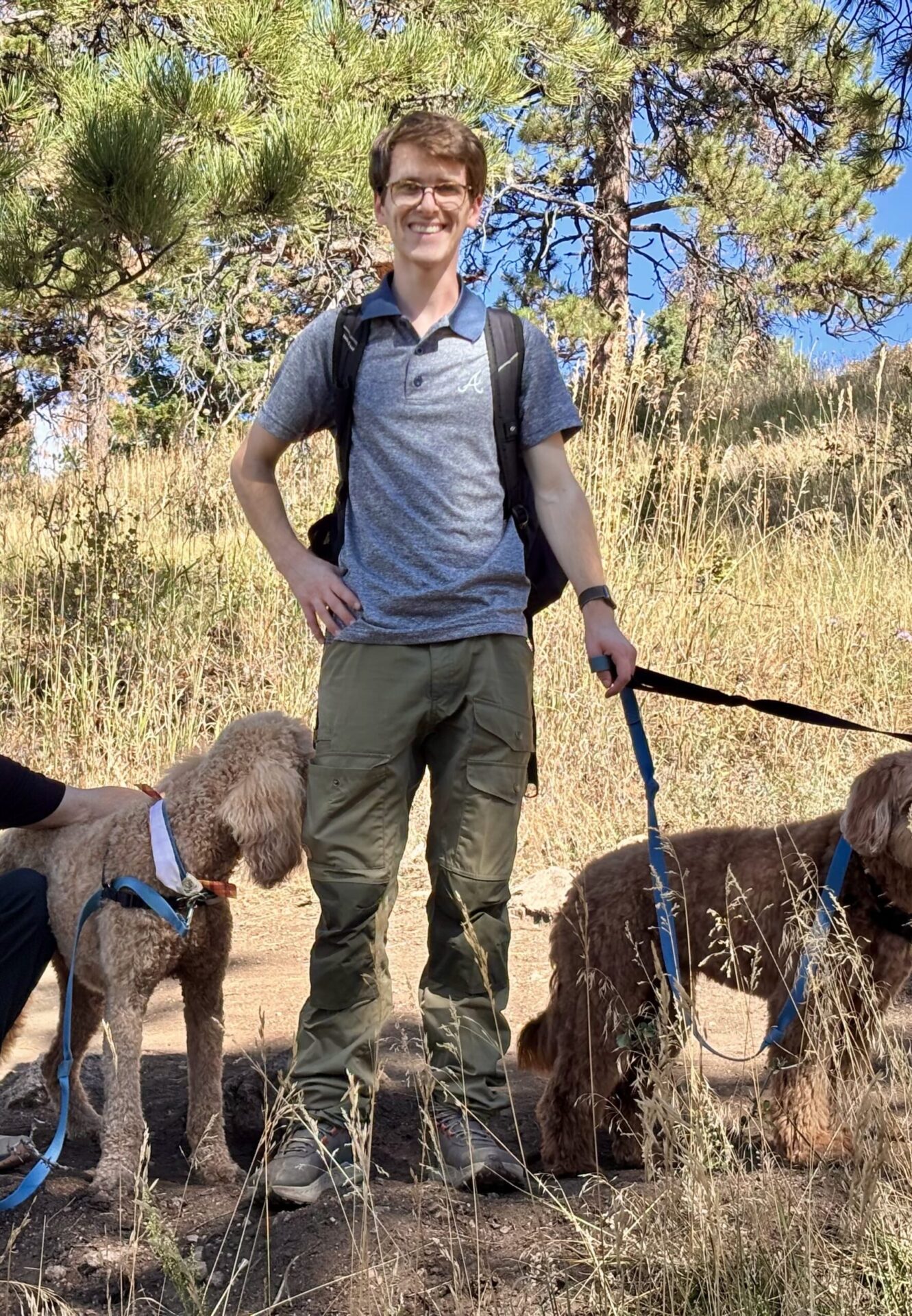 Professional dog handler walking two poodle on leashes through park