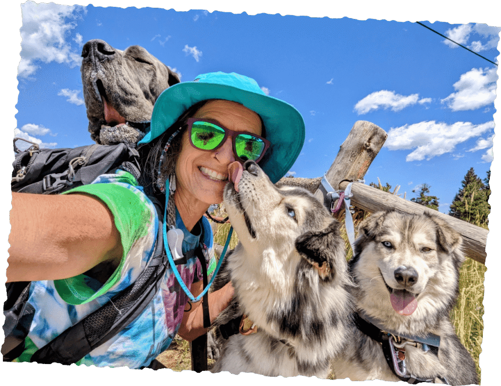Handler taking selfie with cute Huskeys and mastiff on mountain trail, happy pack hike