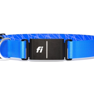 Fi smart dog GPS collar in blue
