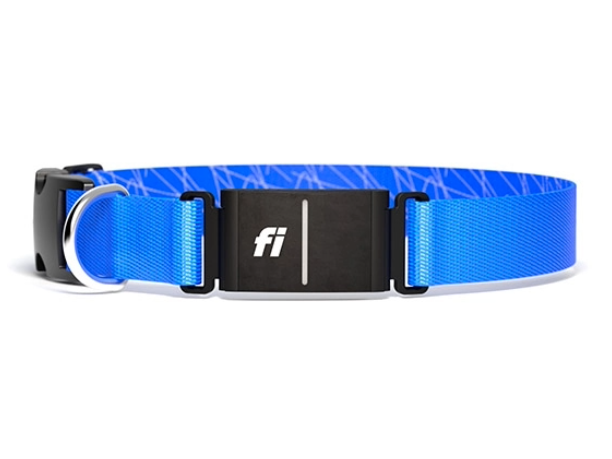 Fi smart dog GPS collar in blue