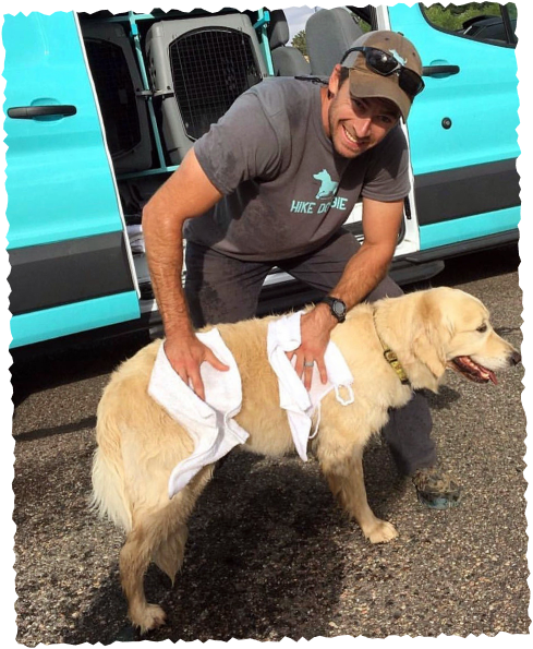 Handler petting senior dog beside teal Hike Doggie van