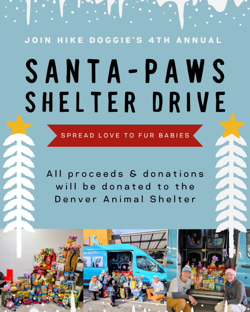 Santa Paws Shelter Drive event flyer for dog charity fundraiser