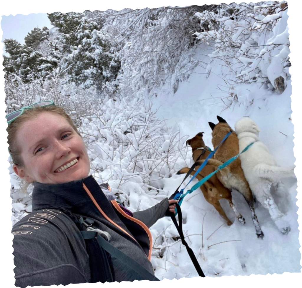 Woman taking selfie with dog team in snowy forest