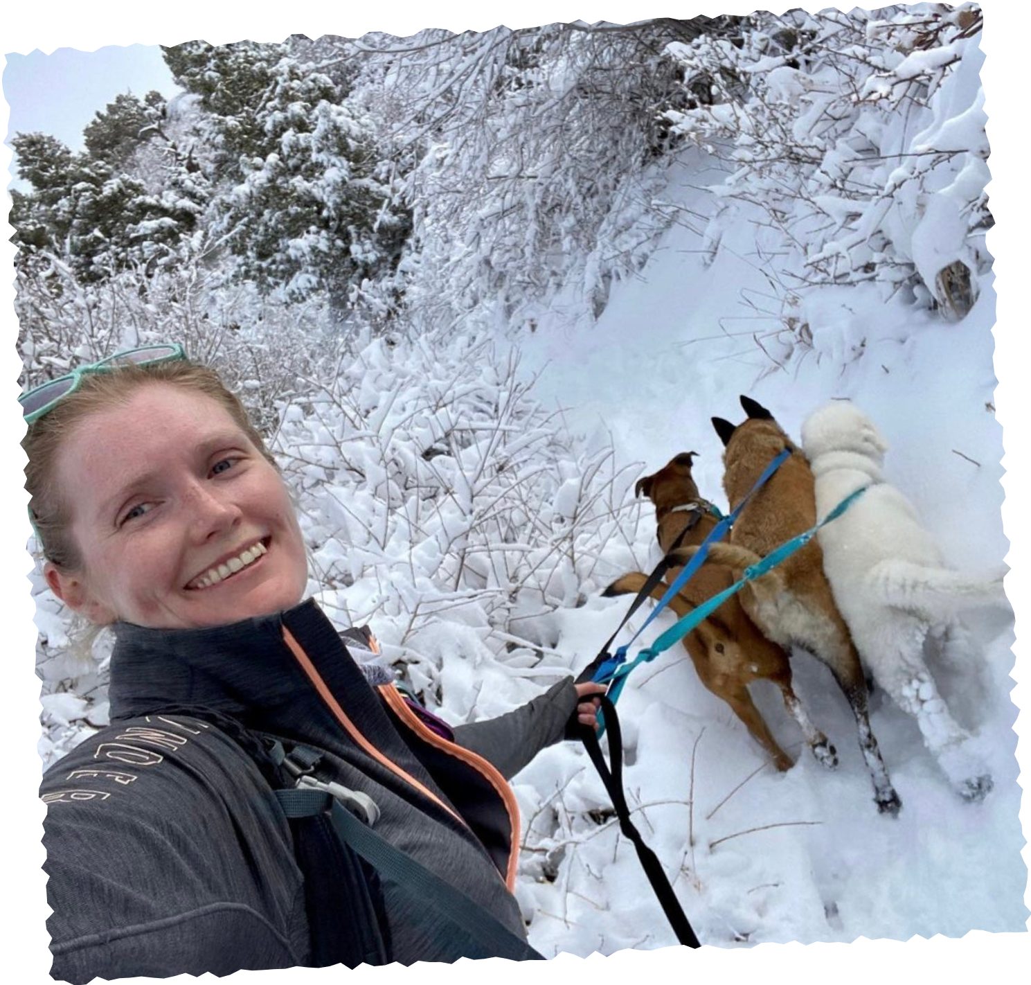 Woman taking selfie with dog team in snowy forest