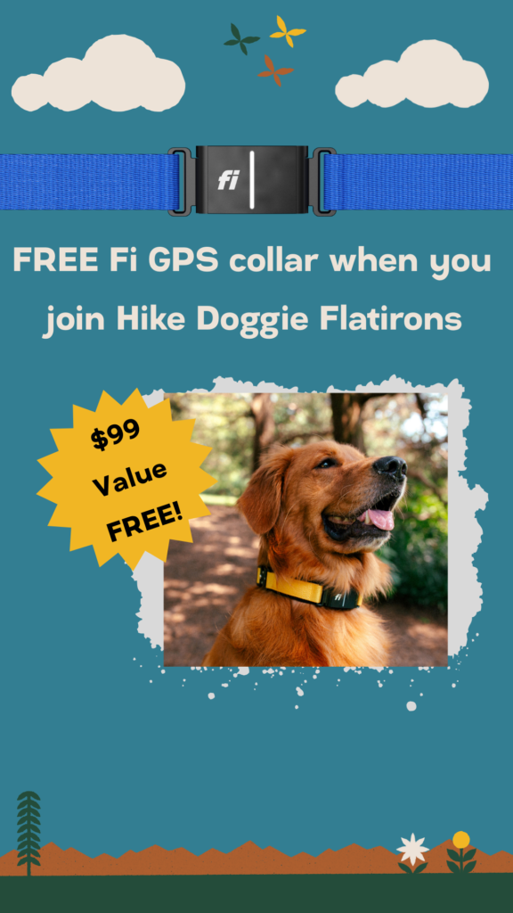 Promotional graphic offering free Fi GPS collar with Hike Doggie