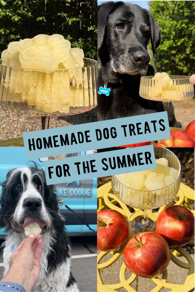 Homemade dog treats display with fruit and signage