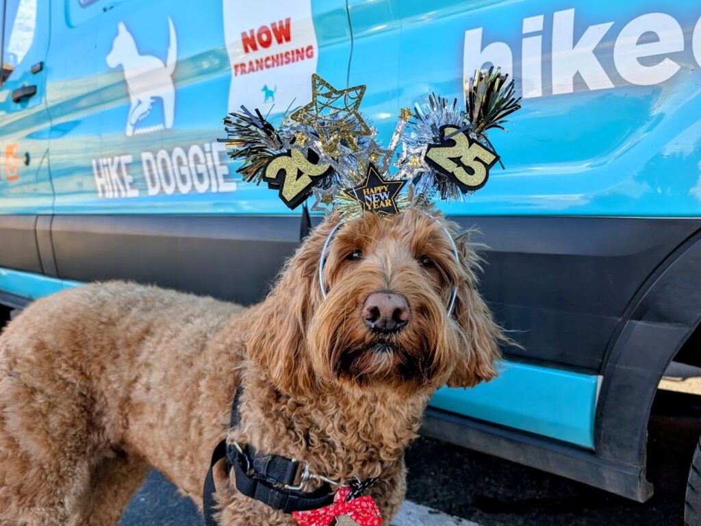 Dog wearing novelty headband in front of Hike Doggie van